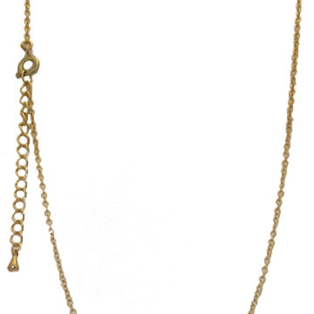 Gold Plated Chain 18 inches extender NWT